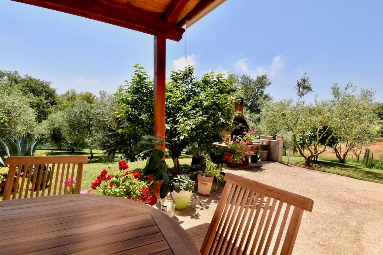 מדולין Relaxing Holiday House With Terrace Sea View מראה חיצוני תמונה