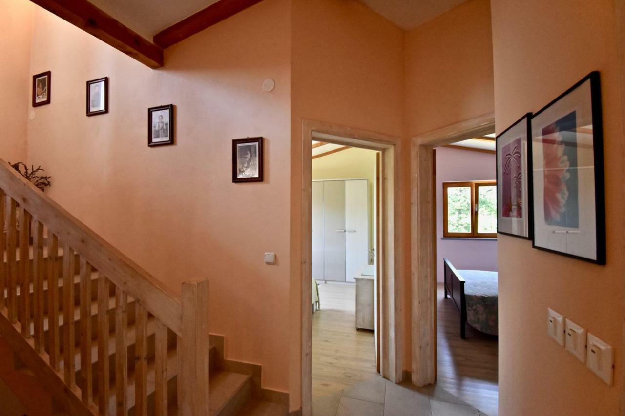 מדולין Relaxing Holiday House With Terrace Sea View מראה חיצוני תמונה