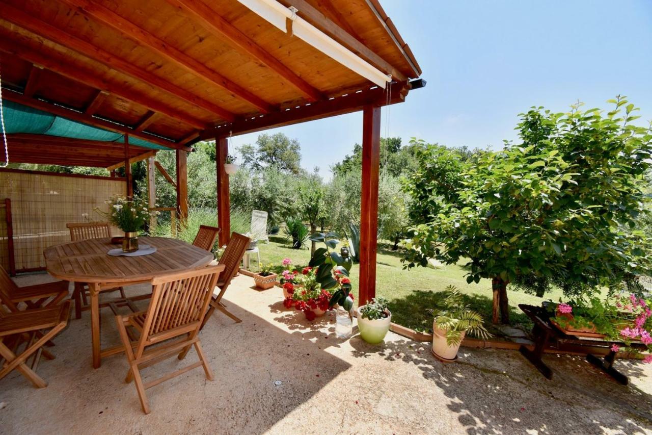 מדולין Relaxing Holiday House With Terrace Sea View מראה חיצוני תמונה